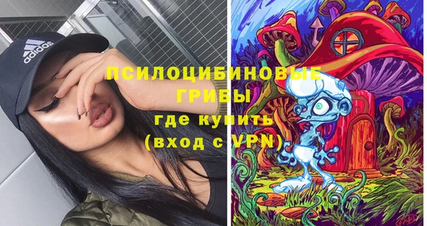 ешки Богородицк